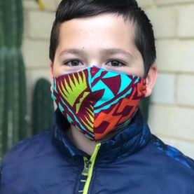 Basic fitted Face Mask - variety colours
